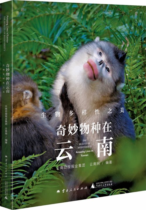 科普精品 生物多样性之美 奇妙物种在云南 本月29日重磅推出